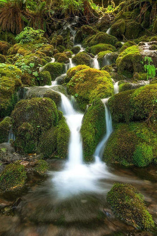 Waterfall I Black Ornate Wood Framed Art Print with Double Matting by Kostka, Vladimir