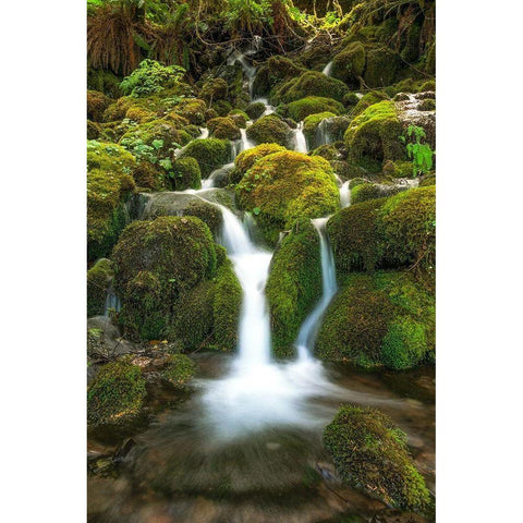 Waterfall I Black Modern Wood Framed Art Print by Kostka, Vladimir