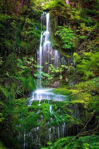 Waterfall II Black Ornate Wood Framed Art Print with Double Matting by Kostka, Vladimir