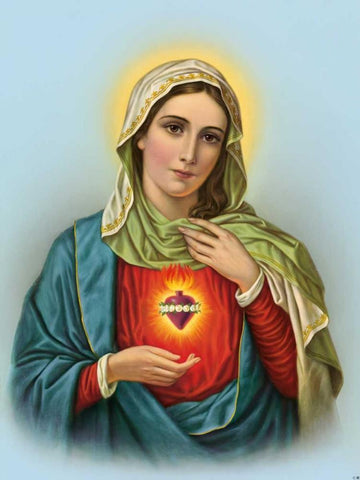 Hl. Herz Mariae White Modern Wood Framed Art Print with Double Matting by Anonymous