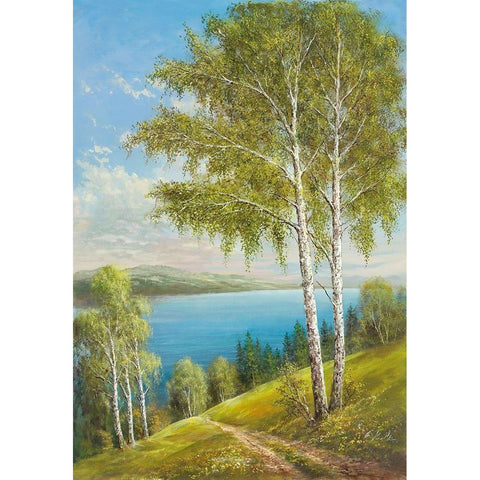 BIRCHES AT THE LAKE II Black Modern Wood Framed Art Print with Double Matting by Glassl, Helmut