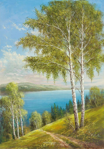 BIRCHES AT THE LAKE II Black Ornate Wood Framed Art Print with Double Matting by Glassl, Helmut