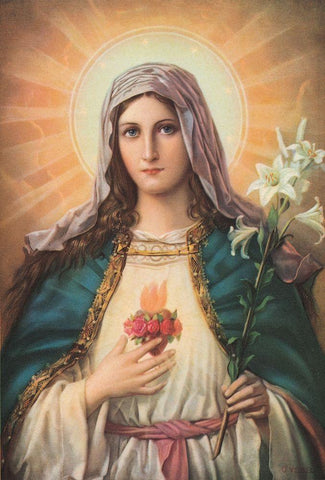 HL.HERZ MARIAE White Modern Wood Framed Art Print with Double Matting by Anonymous