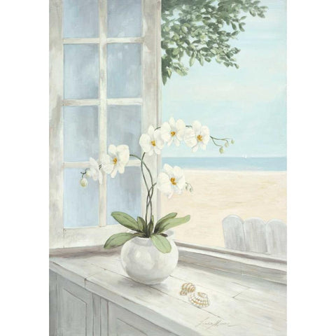 Seashell Gold Ornate Wood Framed Art Print with Double Matting by Moore, Linda