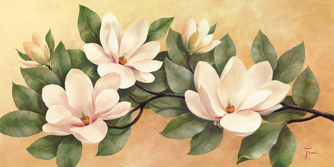 MAGNOLIA Black Ornate Wood Framed Art Print with Double Matting by Fasani