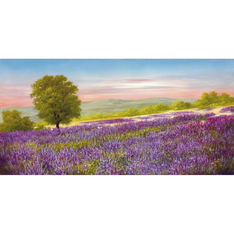 LAVENDER FIELD White Modern Wood Framed Art Print by Schoelnhammer, Heinz