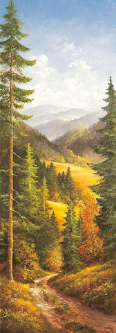 MIDDAY SKY I Black Ornate Wood Framed Art Print with Double Matting by Glassl, Helmut