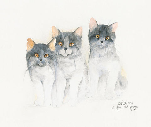 CATS OF DISTINCTION III Black Ornate Wood Framed Art Print with Double Matting by Moser, Dede