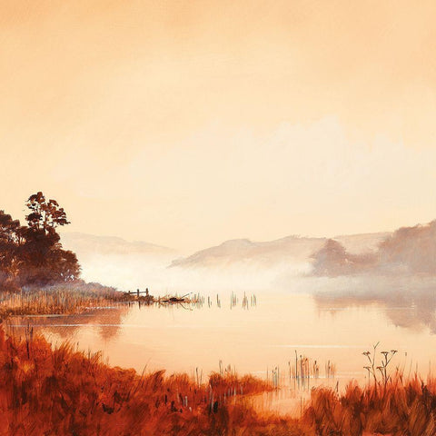 MISTY MORNING II Black Modern Wood Framed Art Print by Lee, Spencer