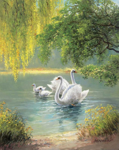 Swan Family II Black Ornate Wood Framed Art Print with Double Matting by Weber, Max
