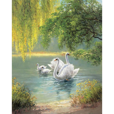 Swan Family II White Modern Wood Framed Art Print by Weber, Max