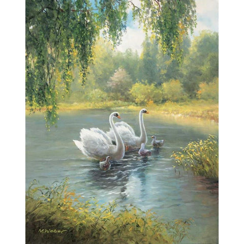 Swan Family I White Modern Wood Framed Art Print by Weber, Max
