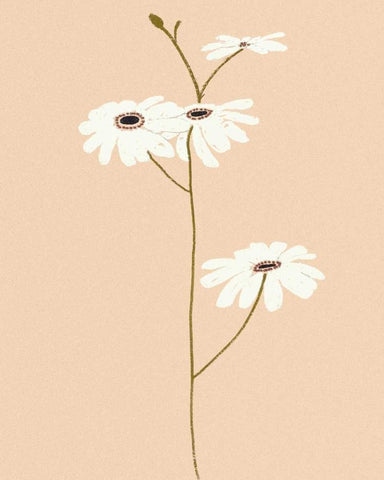 Serene Florals I Black Ornate Wood Framed Art Print with Double Matting by Design Show
