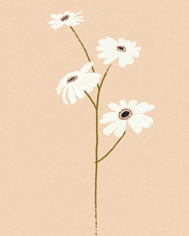 Serene Florals II White Modern Wood Framed Art Print with Double Matting by Design Show