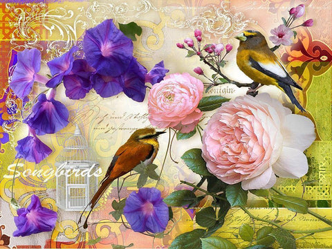 SONGBIRDS Black Ornate Wood Framed Art Print with Double Matting by Florenti, Isa