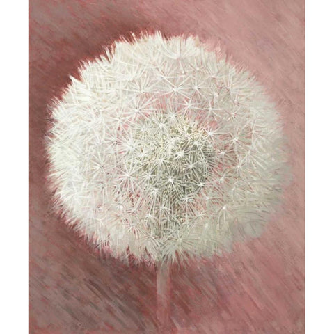 Dandelion Clock I Gold Ornate Wood Framed Art Print with Double Matting by Verdonck, Elisabeth