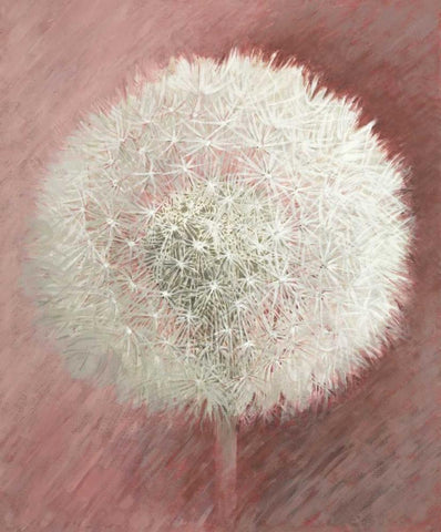 Dandelion Clock II White Modern Wood Framed Art Print with Double Matting by Verdonck, Elisabeth
