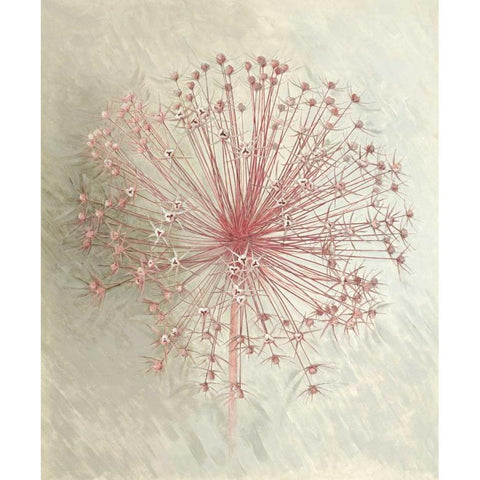 Allium Seedhead I Gold Ornate Wood Framed Art Print with Double Matting by Verdonck, Elisabeth