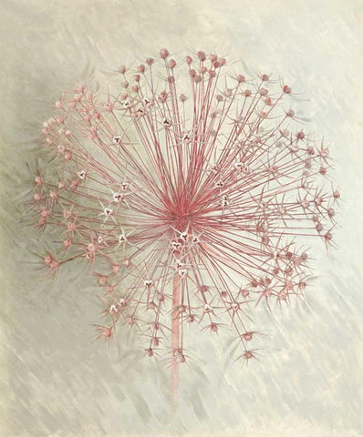 Allium Seedhead I Black Ornate Wood Framed Art Print with Double Matting by Verdonck, Elisabeth