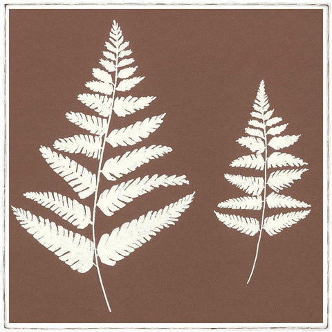 MOCCA FERN II White Modern Wood Framed Art Print by Design Show