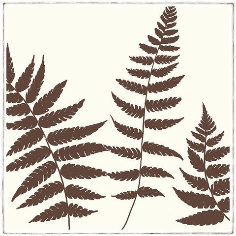 MOCCA FERN III Black Ornate Wood Framed Art Print with Double Matting by Design Show