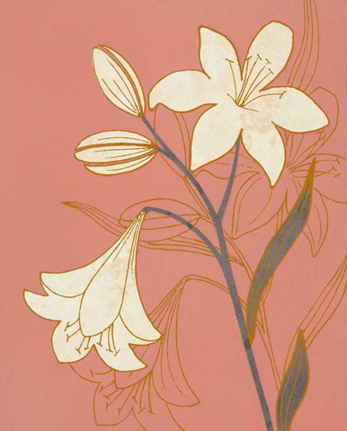 Terra Cotta Lillies II White Modern Wood Framed Art Print with Double Matting by Design Show