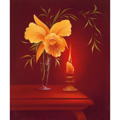 SENTIMENTAL EVENING I Black Modern Wood Framed Art Print with Double Matting by Smith, B.