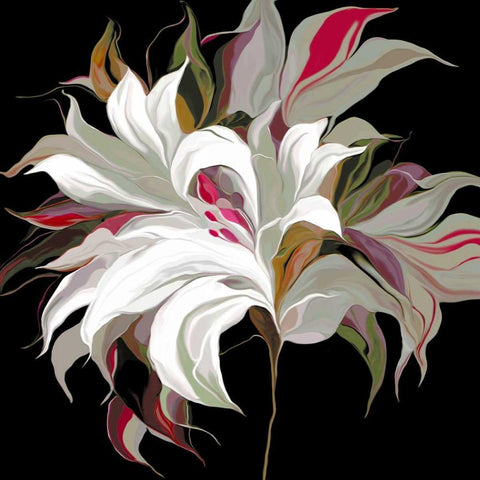 Lily Xx Black Ornate Wood Framed Art Print with Double Matting by Scaffardi, Sally