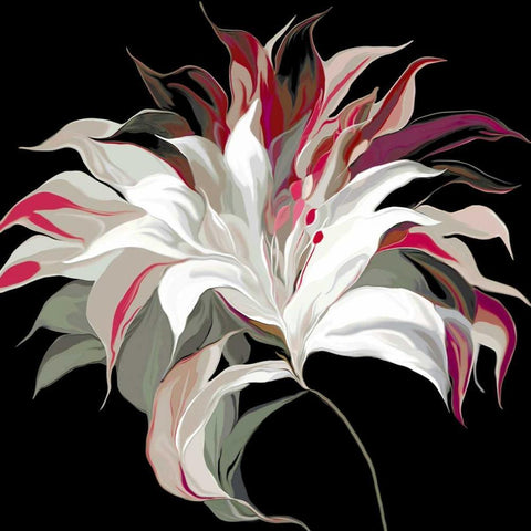 Lily Xxi White Modern Wood Framed Art Print with Double Matting by Scaffardi, Sally