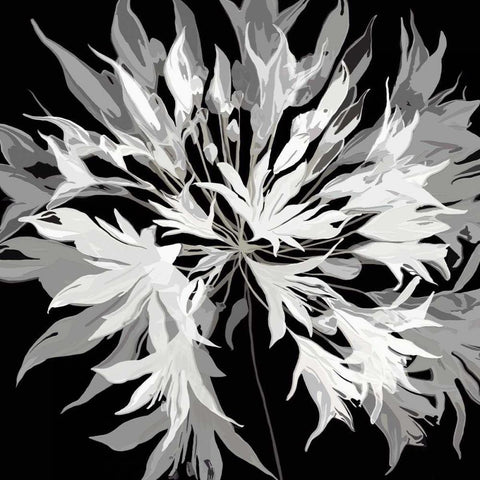 Radiance I Black Modern Wood Framed Art Print by Scaffardi, Sally