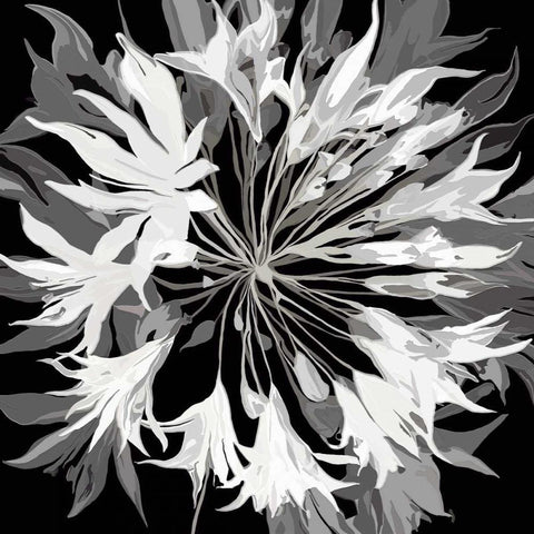 Radiance II Black Ornate Wood Framed Art Print with Double Matting by Scaffardi, Sally