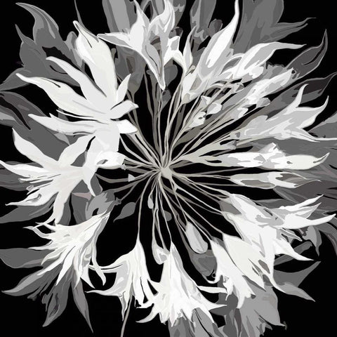 Radiance II White Modern Wood Framed Art Print by Scaffardi, Sally