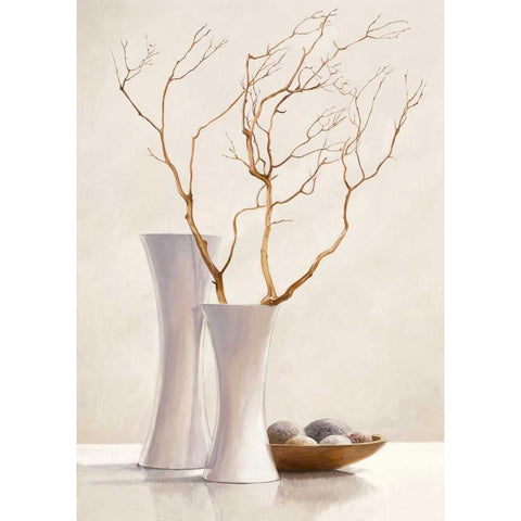 Willow Twigs I Black Modern Wood Framed Art Print with Double Matting by van der Valk, Karin