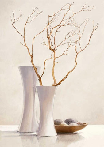 Willow Twigs I White Modern Wood Framed Art Print with Double Matting by van der Valk, Karin