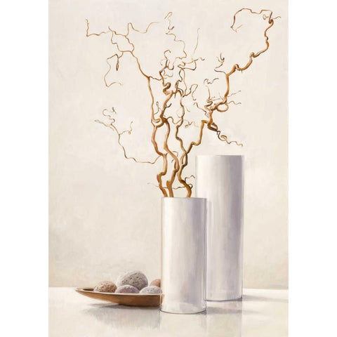 Willow Twigs II White Modern Wood Framed Art Print by van der Valk, Karin