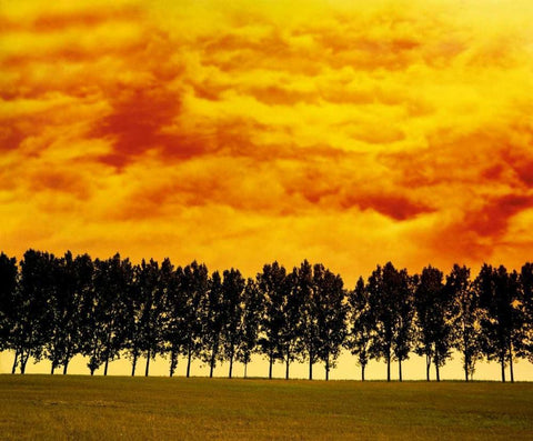 Afterglow I Black Ornate Wood Framed Art Print with Double Matting by Weissing, Gerd