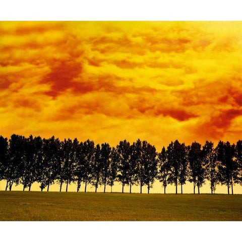 Afterglow I Black Modern Wood Framed Art Print by Weissing, Gerd