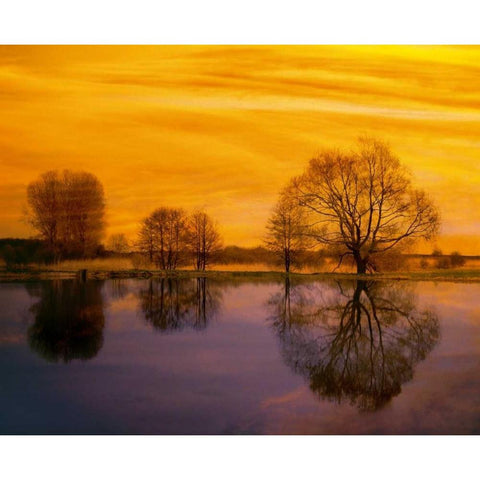 Afterglow II White Modern Wood Framed Art Print by Weissing, Gerd