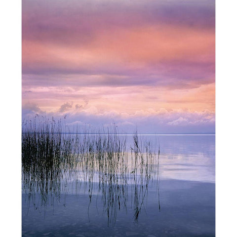 SETTING SUN I Black Modern Wood Framed Art Print with Double Matting by Weissing, Gerd