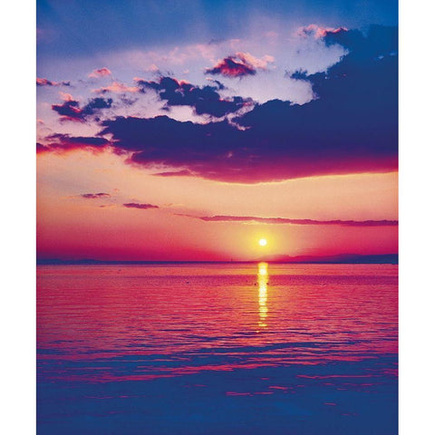 BALATON White Modern Wood Framed Art Print by Weissing, Gerd