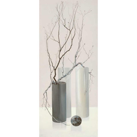 Slender Twigs I Black Modern Wood Framed Art Print with Double Matting by Wonder, Alice