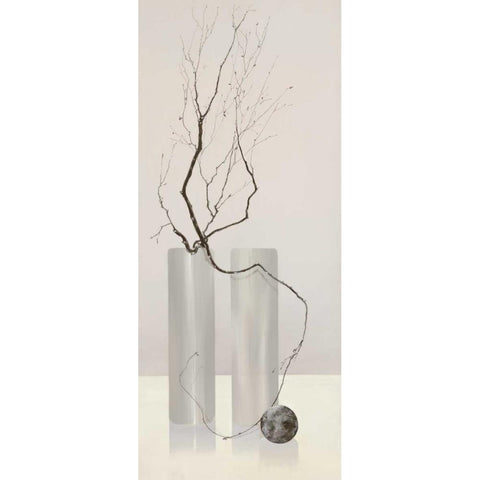 Slender Twigs IV Black Modern Wood Framed Art Print with Double Matting by Wonder, Alice