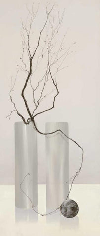 Slender Twigs IV White Modern Wood Framed Art Print with Double Matting by Wonder, Alice
