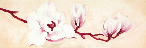 Magnolias I White Modern Wood Framed Art Print with Double Matting by Verdonck, Elisabeth