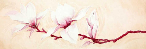 Magnolias II White Modern Wood Framed Art Print with Double Matting by Verdonck, Elisabeth