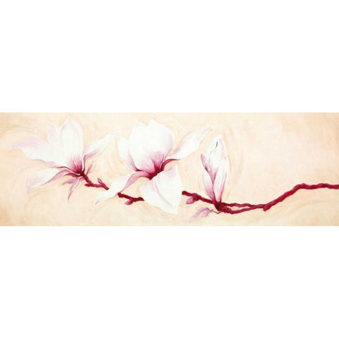 Magnolias II Black Modern Wood Framed Art Print by Verdonck, Elisabeth
