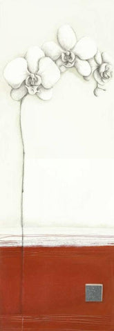 White Orchid II White Modern Wood Framed Art Print with Double Matting by Gore, Ally-Reader, Robert