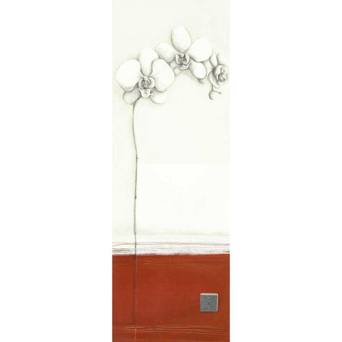 White Orchid II White Modern Wood Framed Art Print by Gore, Ally-Reader, Robert