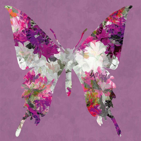 Butterfly White Modern Wood Framed Art Print by Scaffardi, Sally