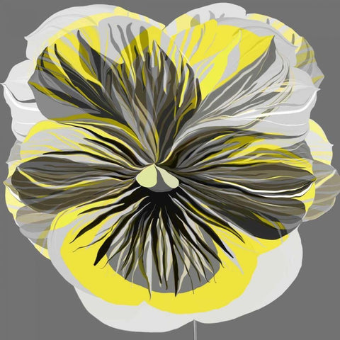 Pansies I Black Ornate Wood Framed Art Print with Double Matting by Scaffardi, Sally